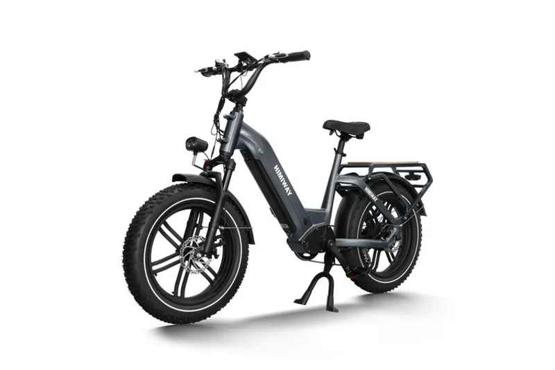 Himiway Big Dog Cargo Ebike-2